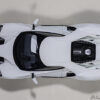 AUTOart Ford GT 2017 (frozen white) (composite model:full